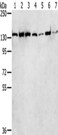 CSB-PA150330