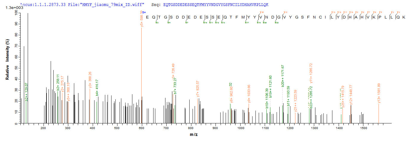 CSB-EP016269HU