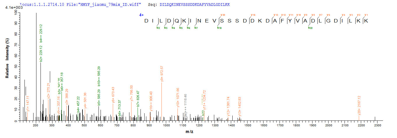 CSB-EP016269HU